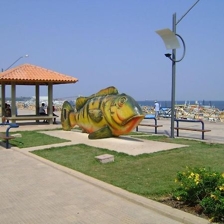 Hotel Encontro Das Aguas Santarém Екстериор снимка